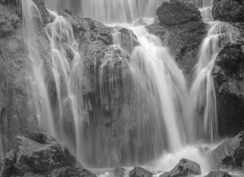DSC_1066x.jpg