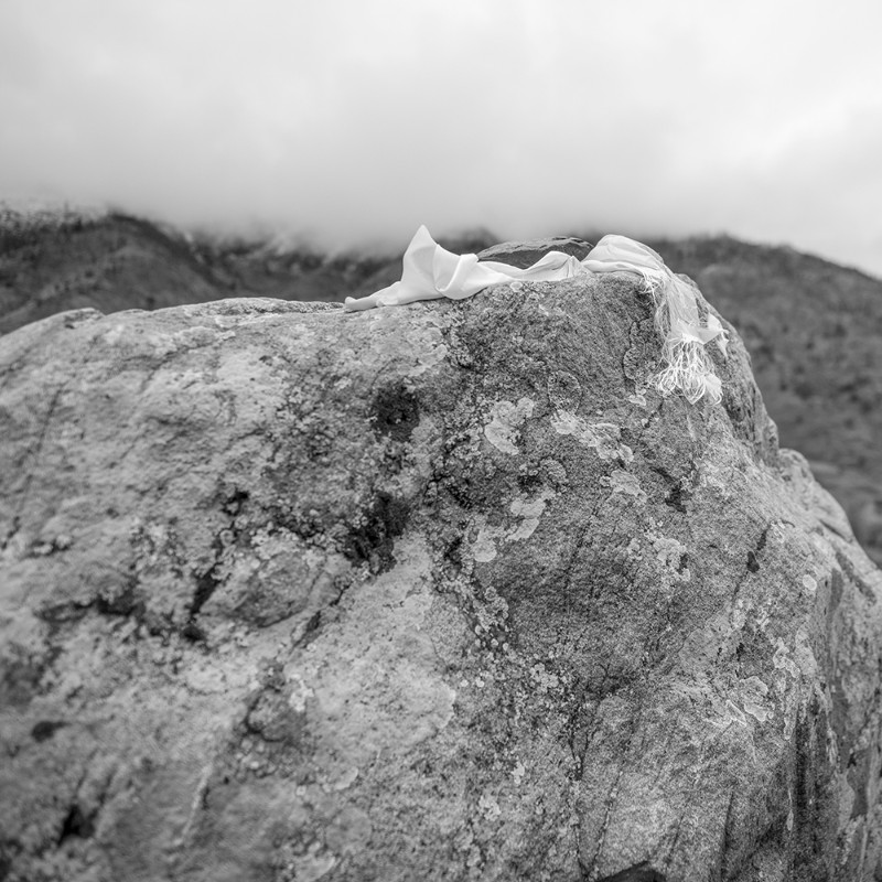 DSC_1286x.jpg