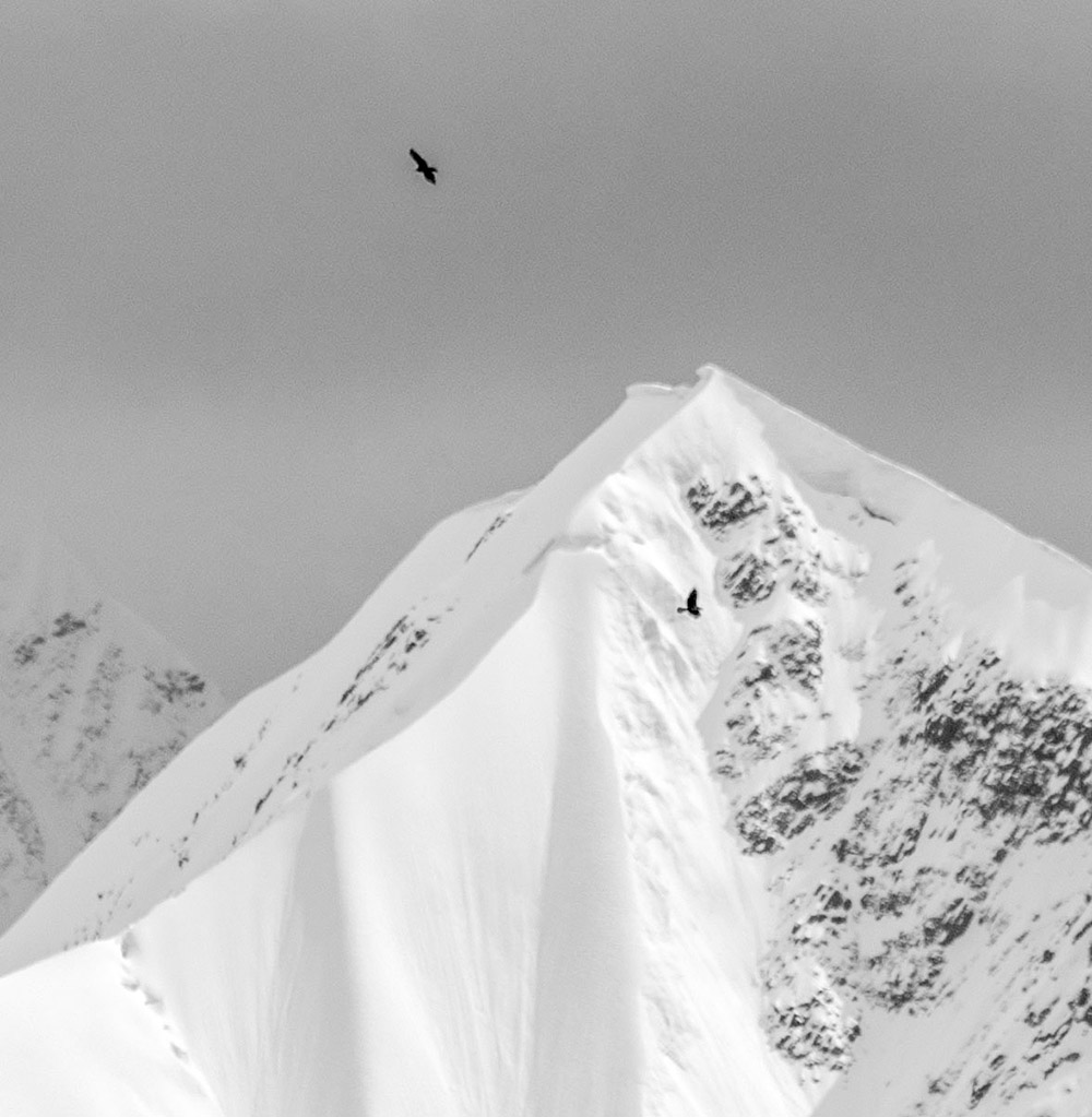 DSC_4762x.jpg